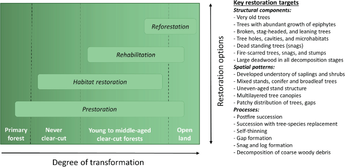 A graph of restoration options versus degree of transformation. The highest effect is for prestoration, and the lowest effect is for reforestation.