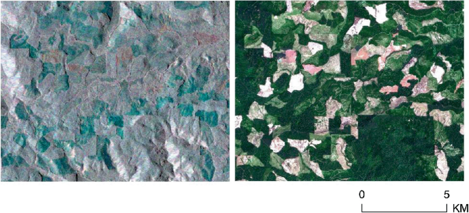 Two pictures. Both depict the distant view of some objects in a specific area. The color in the first picture is lighter as compared to that in the second.