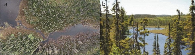 Two photos. A depicts an aerial view of a waterbody between 2 stretches of land with trees. B depicts a lake amid a coniferous forest.