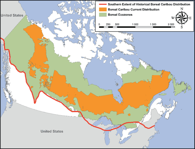 A map of Canada depicts the southern extent of historical boreal Caribou distribution, boreal Caribou distribution, and boreal ecozones.