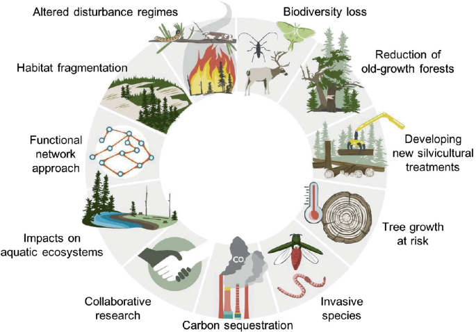 An illustration depicts the effect of global climate change on different species, tree growth, aquatic ecosystems, habitat fragmentation, functional network approach, and collaborative research.