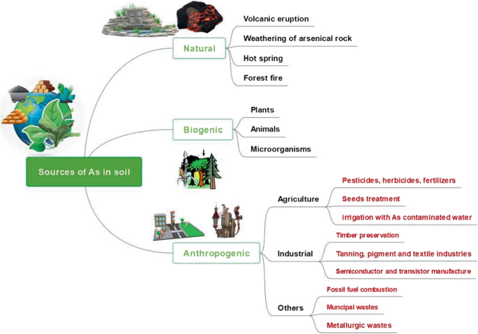 An illustration on the sources of arsenic contamination depicts the natural, biogenic, and anthropogenic factors that contribute to the sources of arsenic in the soil.