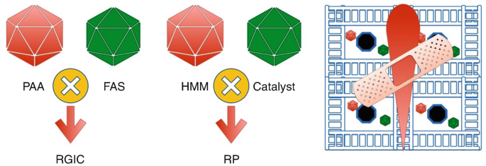 A schematic diagram of the components of self healing composite systems, which includes P A A and F A S combined to make R G I C, and H M M and catalyst mixed to form R P reparative polymer.