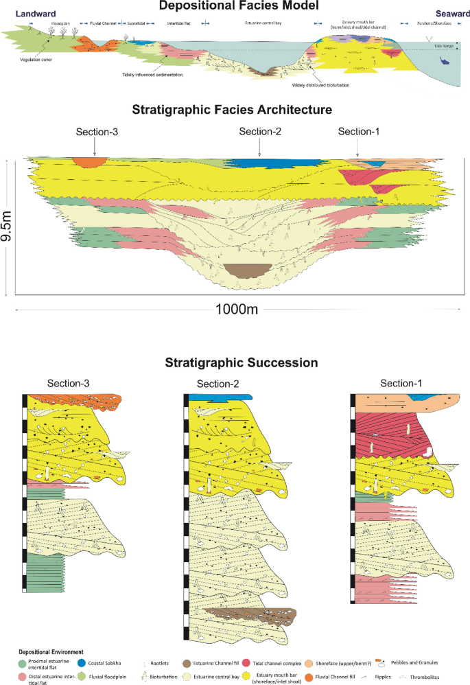 A schematic of depositional facies model, stratigraphic facies architecture and succession. Model 1 spans from landward to seaward. There are 3 sections in stratigraphic models.