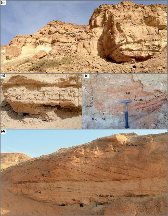 Four photographs of facies formation with multiple composition of rocks and prominent textured rocks.