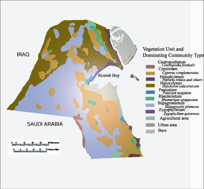 A map depicts the vegetation and dominating type in Kuwait with 11 legends like centropodietum, cyperetum, Panicetum, and more.