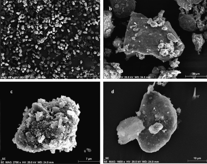 4 microscopic images of smooth dust particles in the western zone of Kuwait. A has very coarse silt, B has adhering carbonates particles, and C and D have adhering gypsum and bassanite particles.