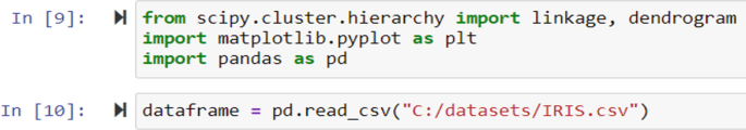 A set of 2 programming codes of inputs 9 and 10 for packages that are required for importing and loading the iris dataset.