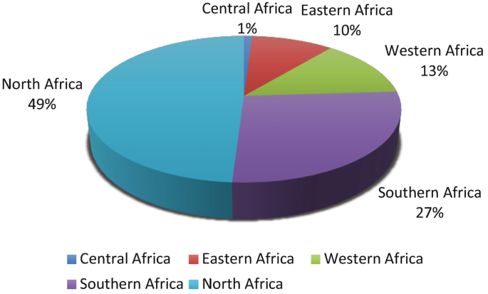 Applications of Transportation Models in Africa | SpringerLink