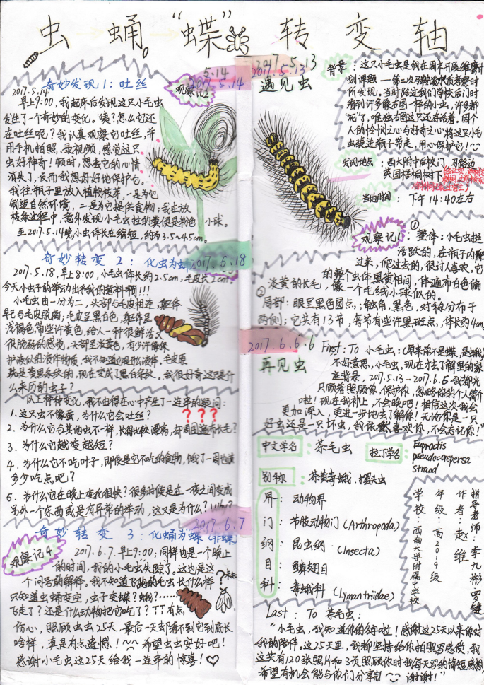 An image of an open notebook, with handwritten notes in a foreign language. The sketches of the dragonfly, butterfly, and worm are illustrated.