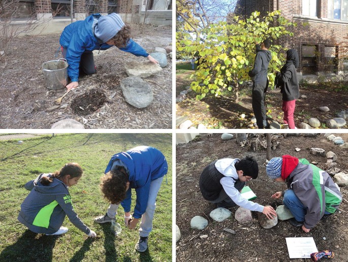 The group of four photos of students searching for something by displacing stones, grass, and leaves.