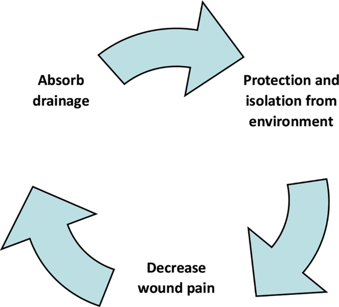 A cyclic flow diagram has labels for protection and isolation from the environment, decrease wound pain, and absorb drainage in a clockwise manner.