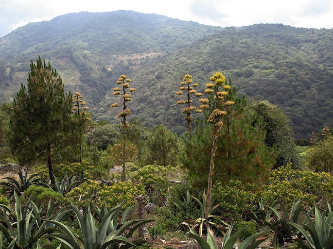 The photograph of a landscape in Mexico.