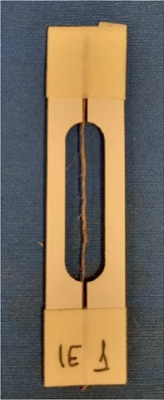 A photograph of fiber is taped to paper support with masking tape.