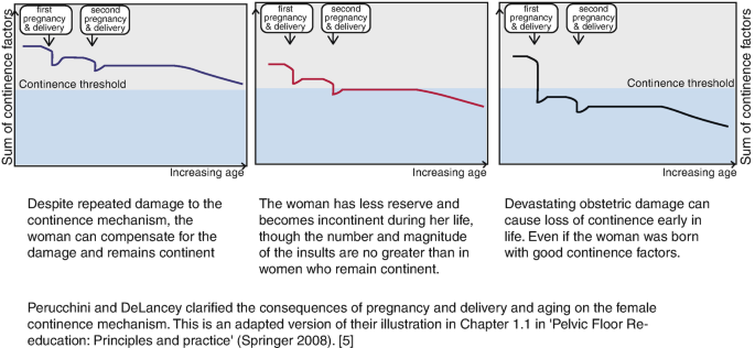 Three plots of the sum of continence factors versus increasing age for the first and second pregnancy and delivery. All 3 lines follow a decreasing trend.