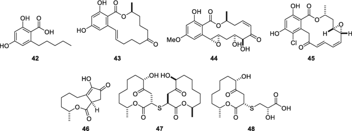 Seven chemical structures of an organic compound are aligned that have connected rings with the help of ketonic groups as well as carbons. The chemical compounds seem to be acidic with acetic acids.