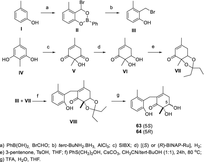 An image preview of a series of organic compounds demonstrates their synthesis in a stepwise manner.