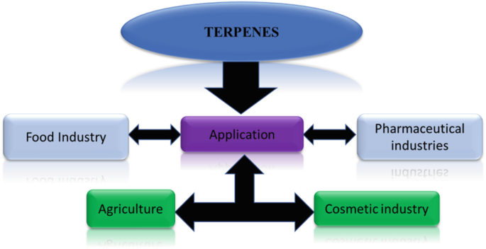 The flow chart depicts the application of terpenes in industries such as pharmaceutical, cosmetic, agriculture, and food.