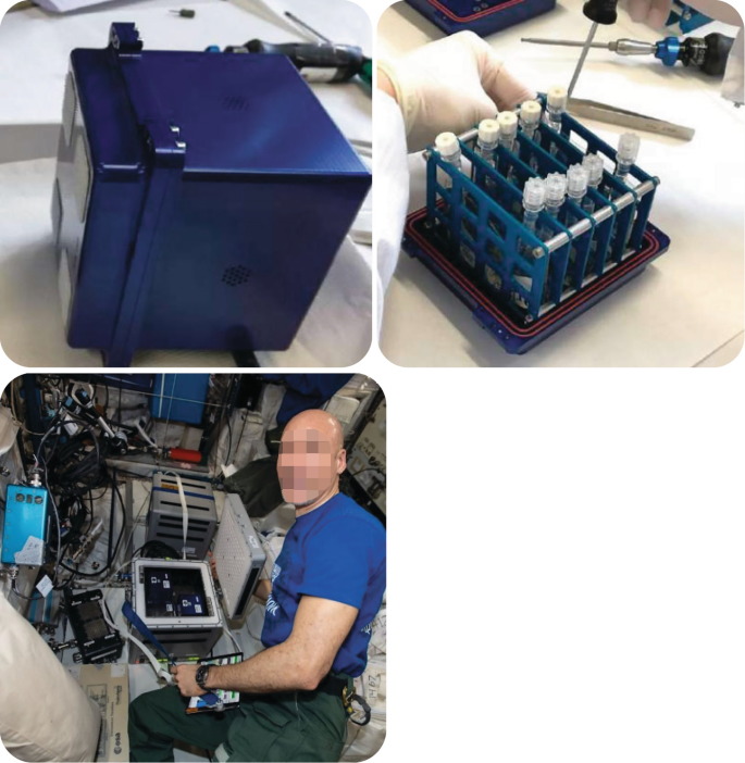 Three photographs depict Rob 1 hardware, P L T bags filled with rotifer cultures, and an astronaut keeping the Rob 1 hardware in K U B I K incubator going to the I S S.
