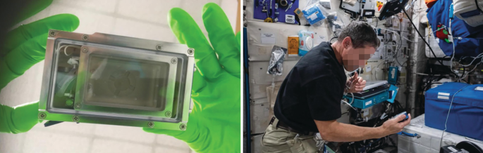 Two photographs depict a pair of gloved hands holding a Rob 2 hardware and a spaceman conducting an experiment with the samples of Adineta vaga in I S S.