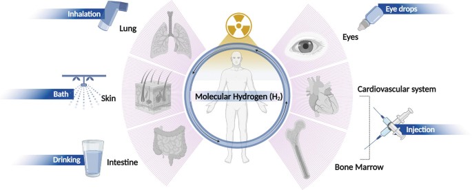 An illustration of different ways of delivering molecular hydrogen, H 2, to different body parts. Eyes through Eye drops. Bone marrow and cardiovascular system through Injection. Intestine through Drinking. Skin through Bathing. Lungs through Inhalation.