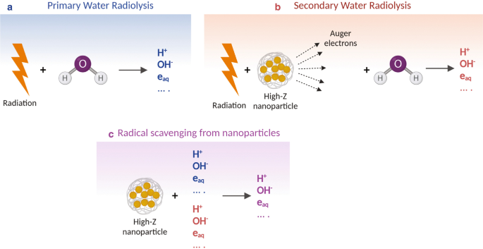 Three illustrations, a through c, of different mechanisms. a. Primary water radiolysis. b. Secondary water radiolysis. c. Radical scavenging from nanoparticles.