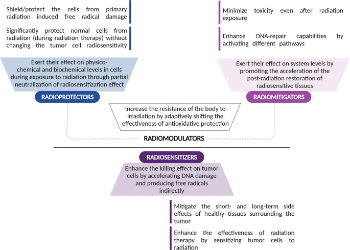 An illustration of the use of radio modulators and their classification. Radio modulators increase the resistance of the body to irradiation by adaptively shifting the effectiveness of antioxidative protection. The three radio modulators are radioprotectors, radiomitigators, and radiosensitizers.