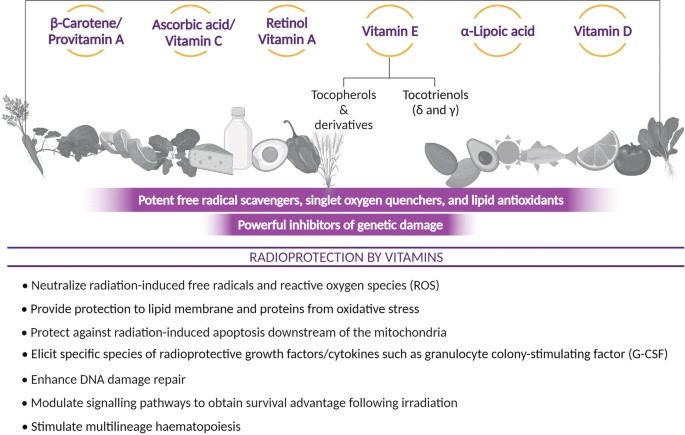 An illustration of the vitamins that provide radioprotection with their effects. The vitamins are beta carotene, or provitamin A, ascorbic acid, or vitamin C, retinol or vitamin A, vitamin E, alpha lipoic acid, and vitamin D.