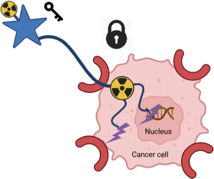 A diagram depicts radiolabeled antigen as a key and cancer cells as lock. The radioactive substance enters the cell via a surface receptor and alters the nucleus and other cellular components.