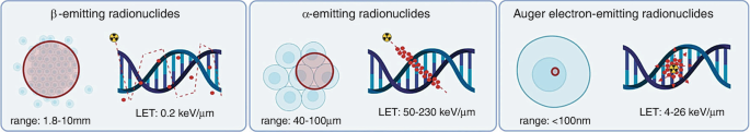 A schematic diagram presents the range and linear energy transfer of beta-emitting radionuclides, alpha-emitting radionuclides, and Auger electron-emitting radionuclides.