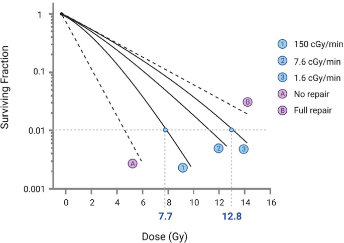 A multi-line graph of surviving fraction versus dose plots the curves for no repair, 150 centigray per minute, 7.6 centigray per minute, 1.6 centigray per minute, and full repair. 5 lines begin at (0, 1) and follow decreasing trend.