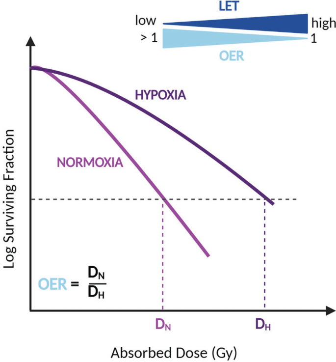 A line graph of log surviving fraction versus absorbed dose plots the curves for normoxia and hypoxia. 2 lines follow a decreasing trend. O E R equals a dose of normoxia overdosed of hypoxia.