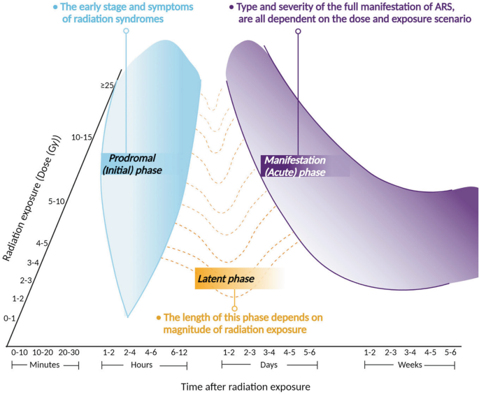 A graph of radiation exposure versus time after radiation exposure plots the zones of initial prodromal phase, latent phase, and acute manifestation phase.