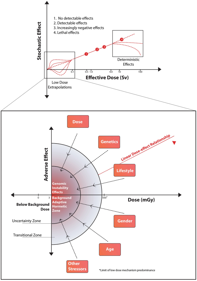 A graph of stochastic effect versus effective dose plots low dose extrapolations and deterministic effects. A magnified graph of the low dose extrapolations plots adverse effects versus dose for uncertainty, transitional, and hormetic zones.