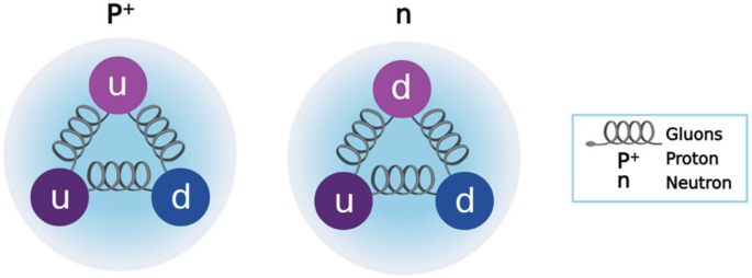 2 models for the proton and neutron depict triangular structures of u u d and u d d, respectively, connected by coiled gluons. U is an up quark, and D is a down quark.