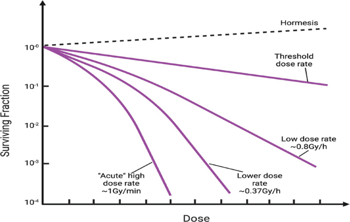 A decreasing line graph of surviving fraction versus dose for acute high dose rate 1 gray per minute, lower dose rate 0.37 gray per hour, low dose rate 0.8 grays per hour, threshold dose rate, and the increasing dashed line hormesis.