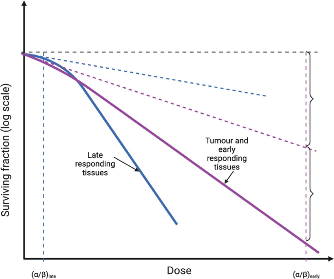 A multi-line graph of surviving fraction versus dose of late responding tissues, and tumor and early responding tissues. A dashed vertical line for alpha by the beta of late and early on either side.