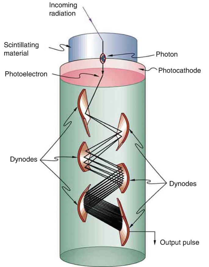 A schematic diagram exhibits a photomultiplier tube of incoming radiation, photon, photocathode, dynodes, output pulse, and scintillating material.