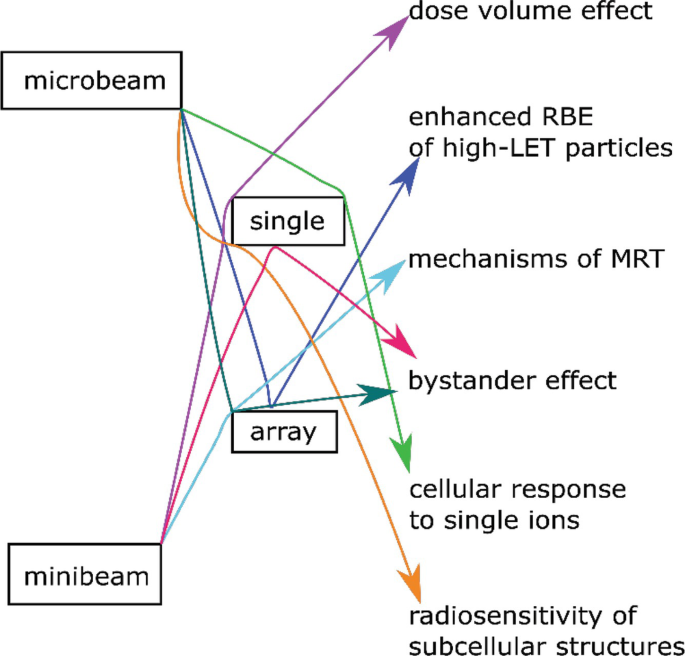 A block diagram illustrates connecting of microbeam, single, array, and mini beam to dose-volume effect, enhanced R B E of high-L E T particles, mechanisms of M R T, bystander effect, cellular response to single ions, and radiosensitivity of subcellular structures,