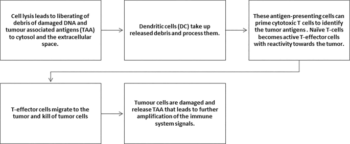A flow diagram of radiation induced systematic immune activation features 5 steps from debris of damaged D N A and T A A released by cell lysis to T A A released from damaged tumor cells cause further amplification of immune signals.