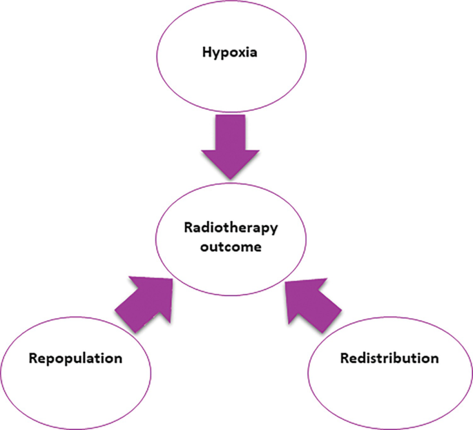A spoke diagram of radiotherapy outcome includes hypoxia, redistribution, and repopulation.