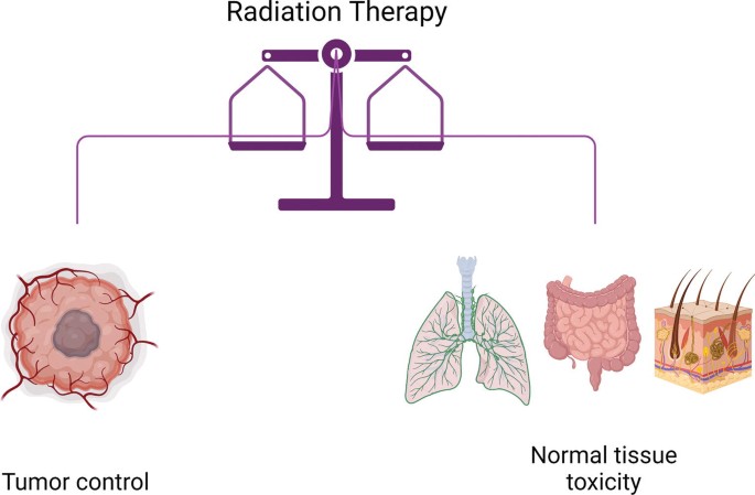 The diagram displays the benefit of radiation therapy which is tumor control and the risk is the normal tissue toxicity.