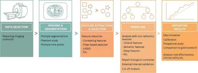 A workflow diagram begins with data selection, followed by imaging and segmentation, feature extraction and selection, modeling, and then to reporting results.