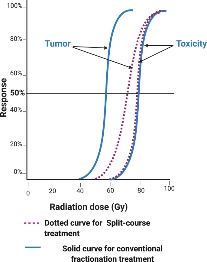 A line graph represents response versus radiation dose in gray. The dotted curve for split-course treatment, and the solid curve for conventional fractionation treatment have the same upward trend, before slightly declining at the endpoint.