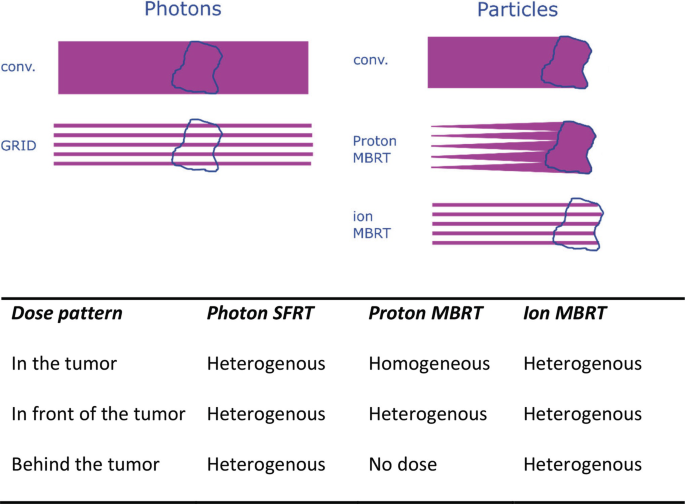 A schematic displays conv and grid where the tumor is at the center under photons, and conv, proton and ion M B R Ts where the tumor is at the tail end on the right under particles. Below is a table that provides information on dose pattern, photon S F R T, proton and ion M B R T.