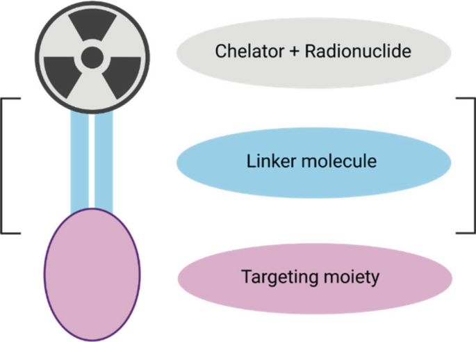 A schematic diagram of the radiopharmaceutical structure. From bottom to top, targeting moiety is connected to the linker molecule which entraps the chelator plus radionuclide.