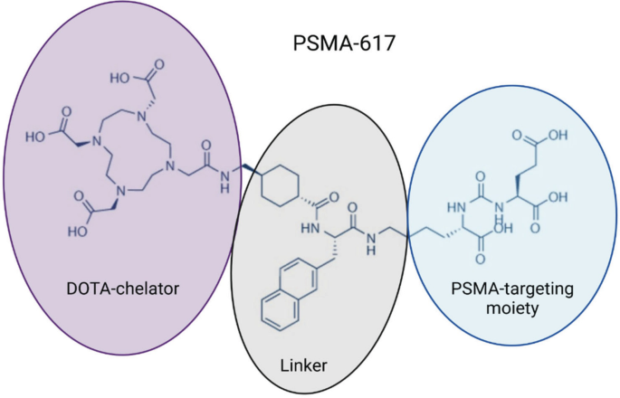 A schematic diagram of the P S M A 617 structure displays the linker in between the D O T A chelator and P S M A targeting moiety.