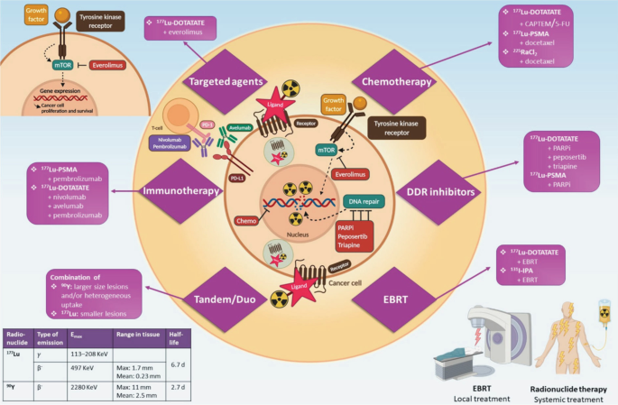 A circular diagram of the combination therapies with radionuclide therapy. It include chemotherapy, D D R inhibitors, E B R T, tandem or duo, immunotherapy, and targeted agents.