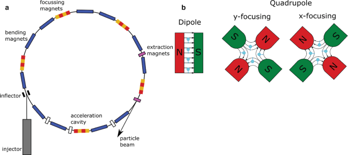 2 diagrams. Diagram A exhibits the circular synchrotron principle which includes extraction magnets, particle beam, acceleration cavity, injector, inflector, bending magnets, and focussing magnets. Diagram B displays the dipole magnets and the x and y-focused quadrupole magnets.