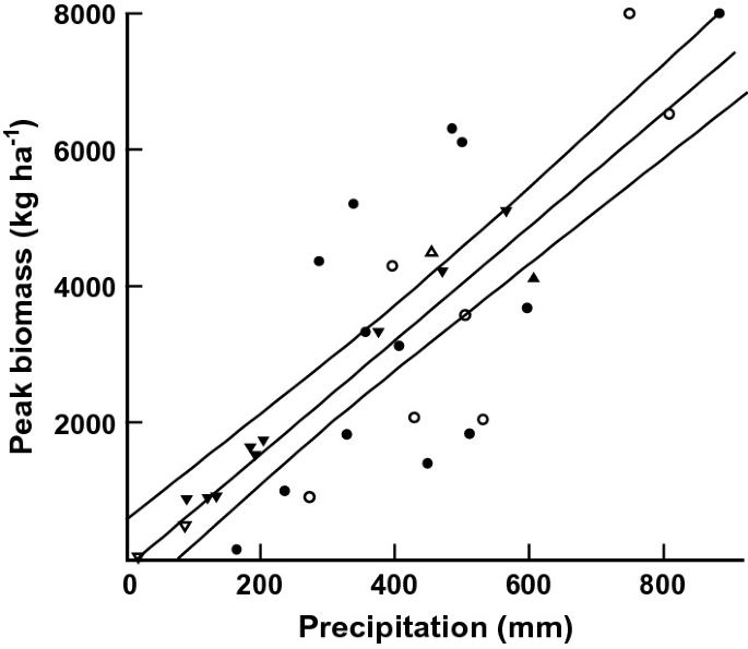 A 2-d line graph shows peak biomass from 0 to 8000 versus precipitation in millimeters from 0 to 800. A line starting from 0 and two parallel them show regression along the line.